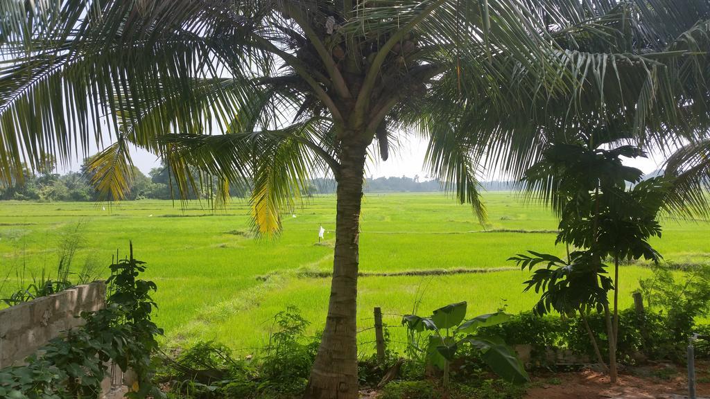 Serene View Tourist Rest Hotell Anuradhapura Exteriör bild
