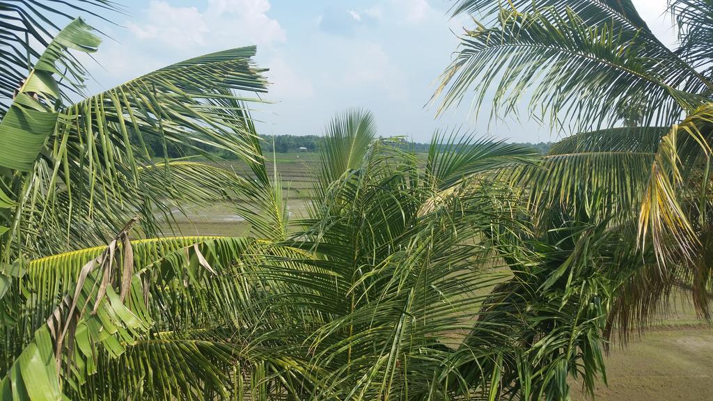 Serene View Tourist Rest Hotell Anuradhapura Exteriör bild