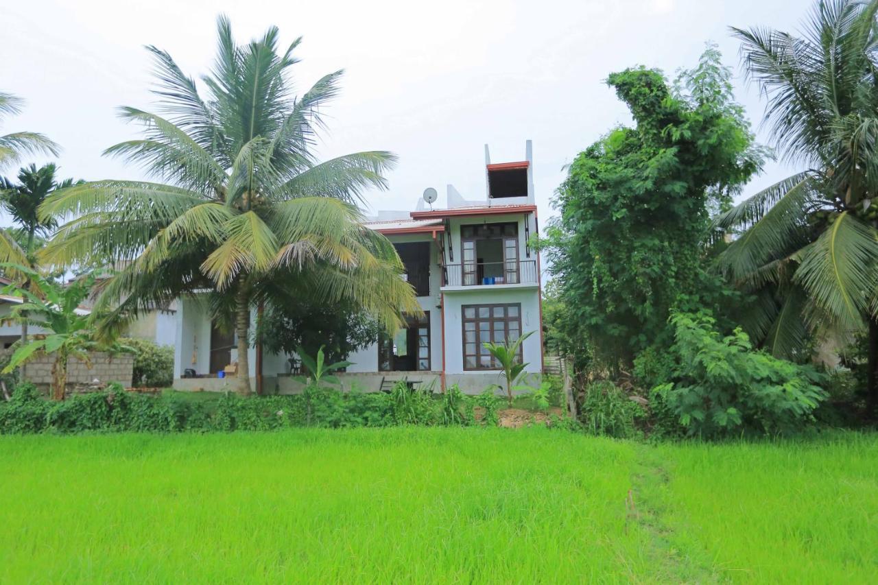 Serene View Tourist Rest Hotell Anuradhapura Exteriör bild