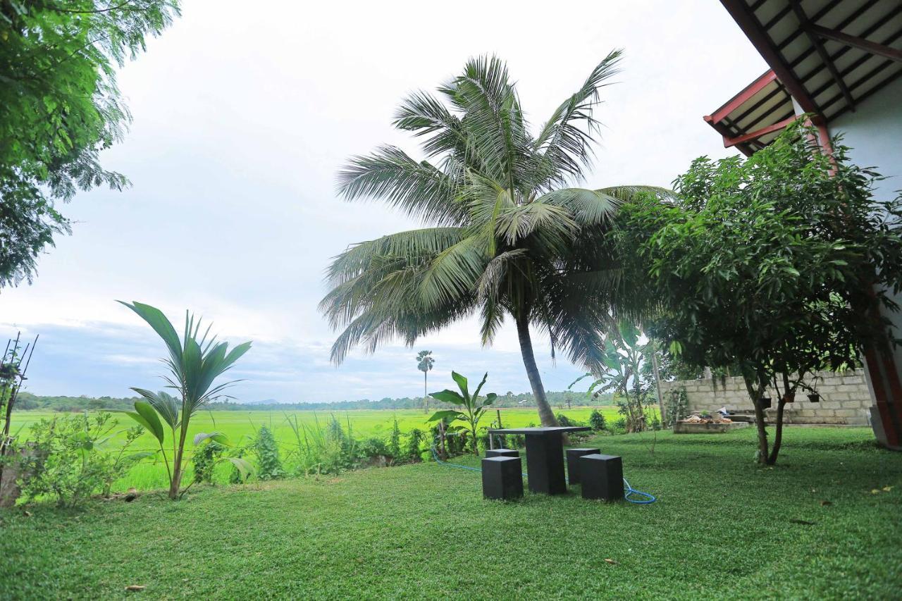 Serene View Tourist Rest Hotell Anuradhapura Exteriör bild